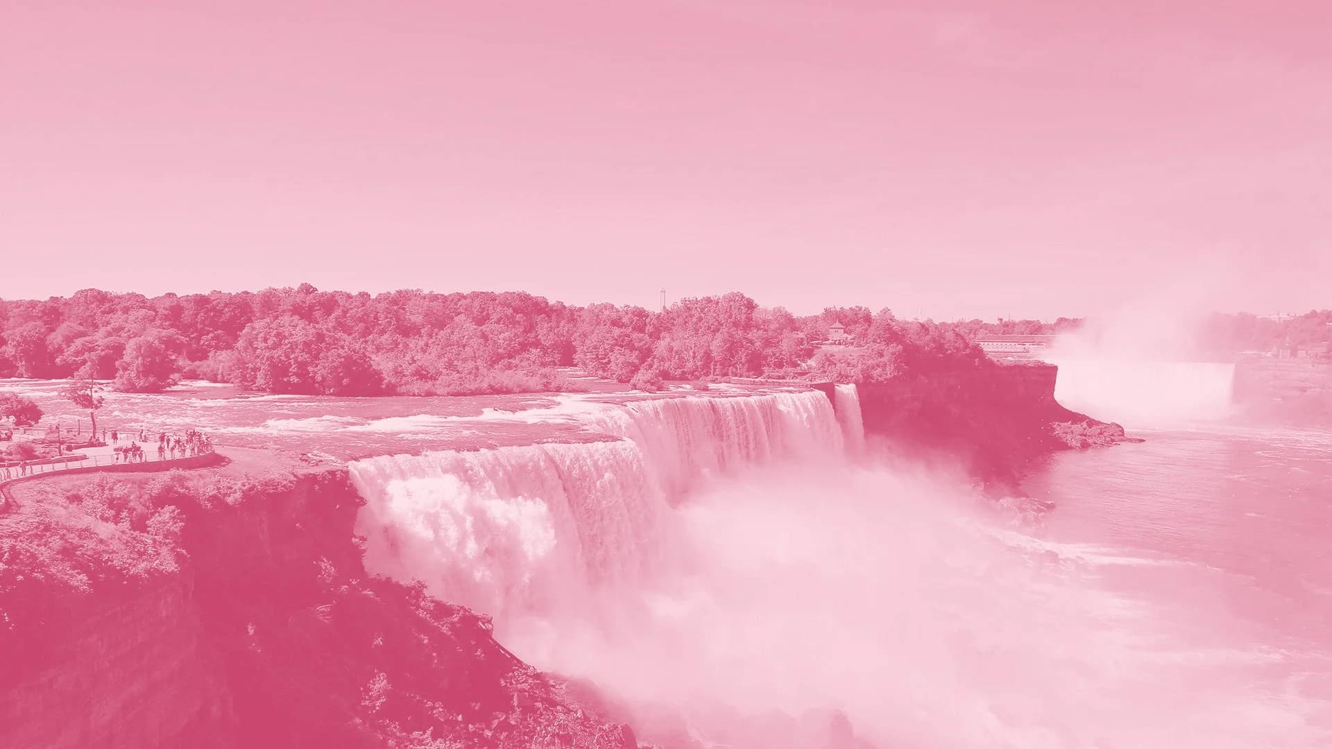 Climate action driving brand values