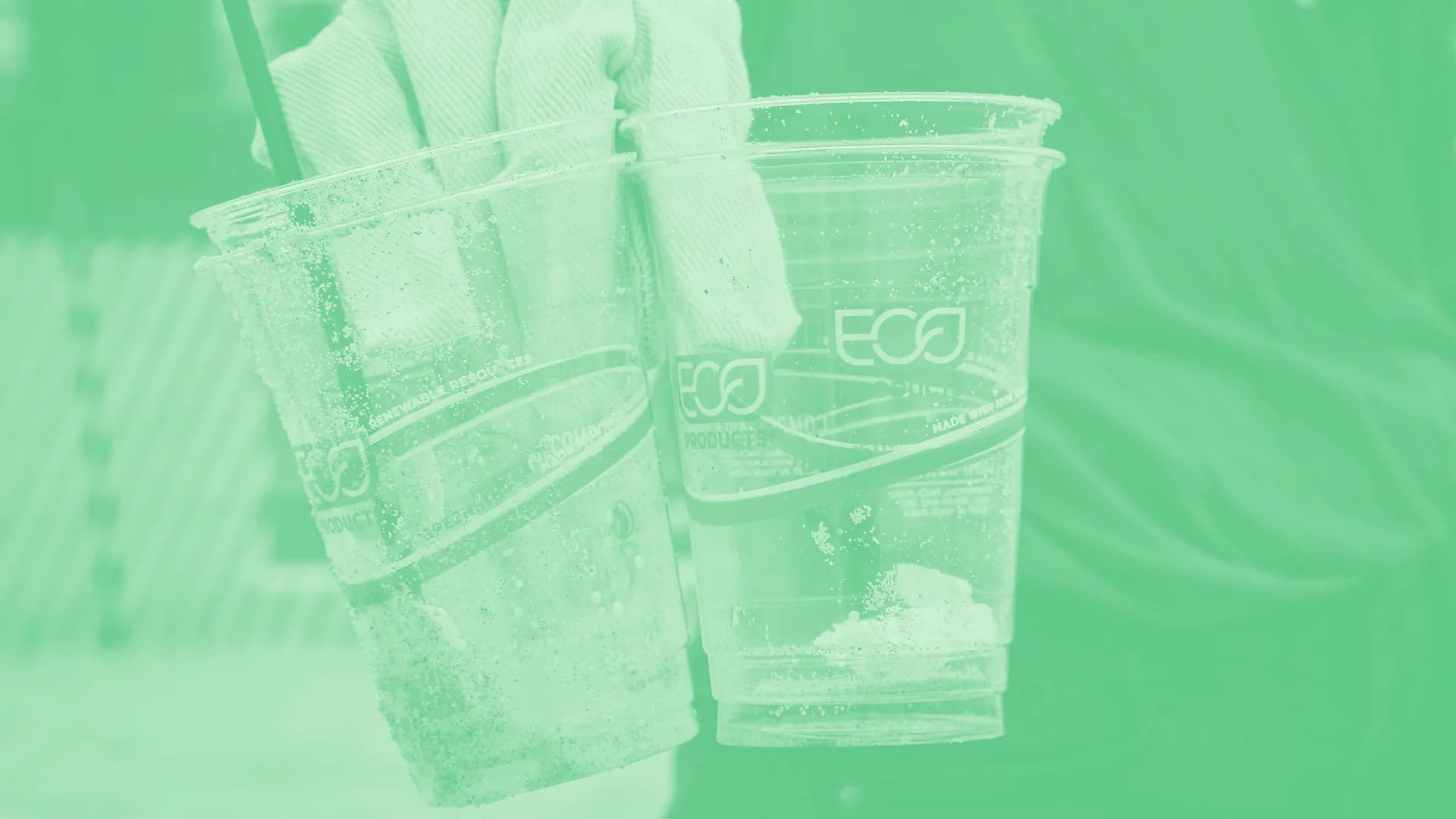 What is greenwashing